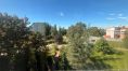 IMG_7841.JPEG